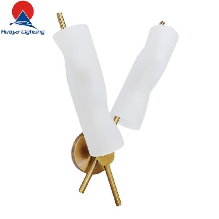 HY-WS-0058